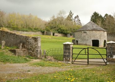 Jenkinstown by Liam Lysaght